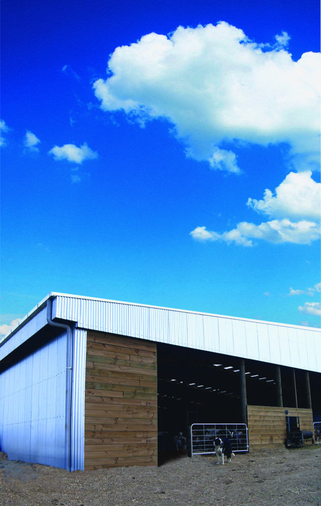 2796 Ragtime Dairy 3 sky extended