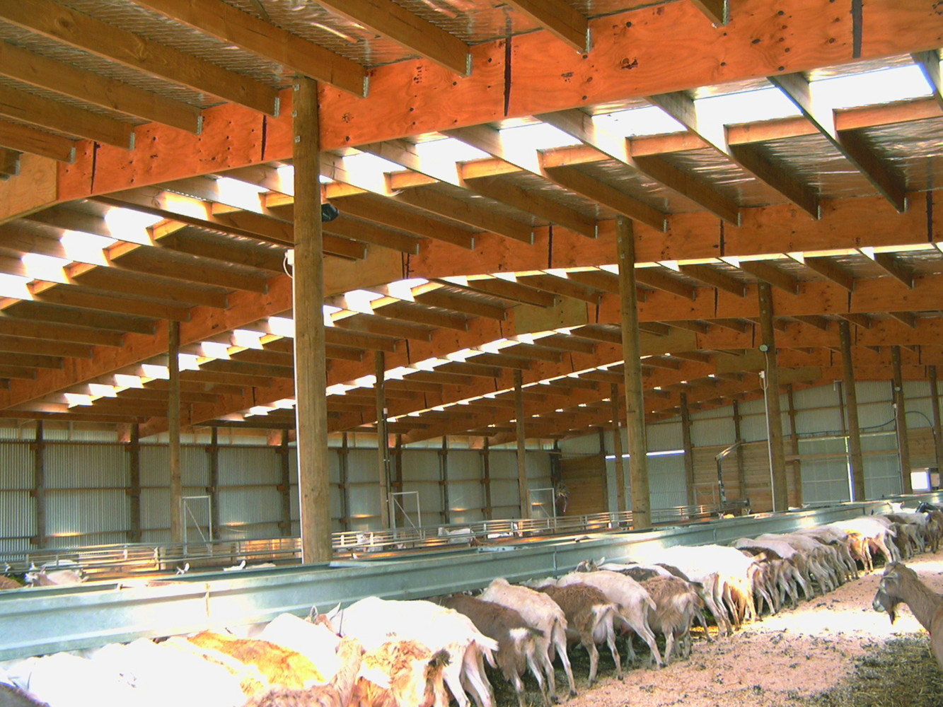 2800 Ragtime Dairy 5