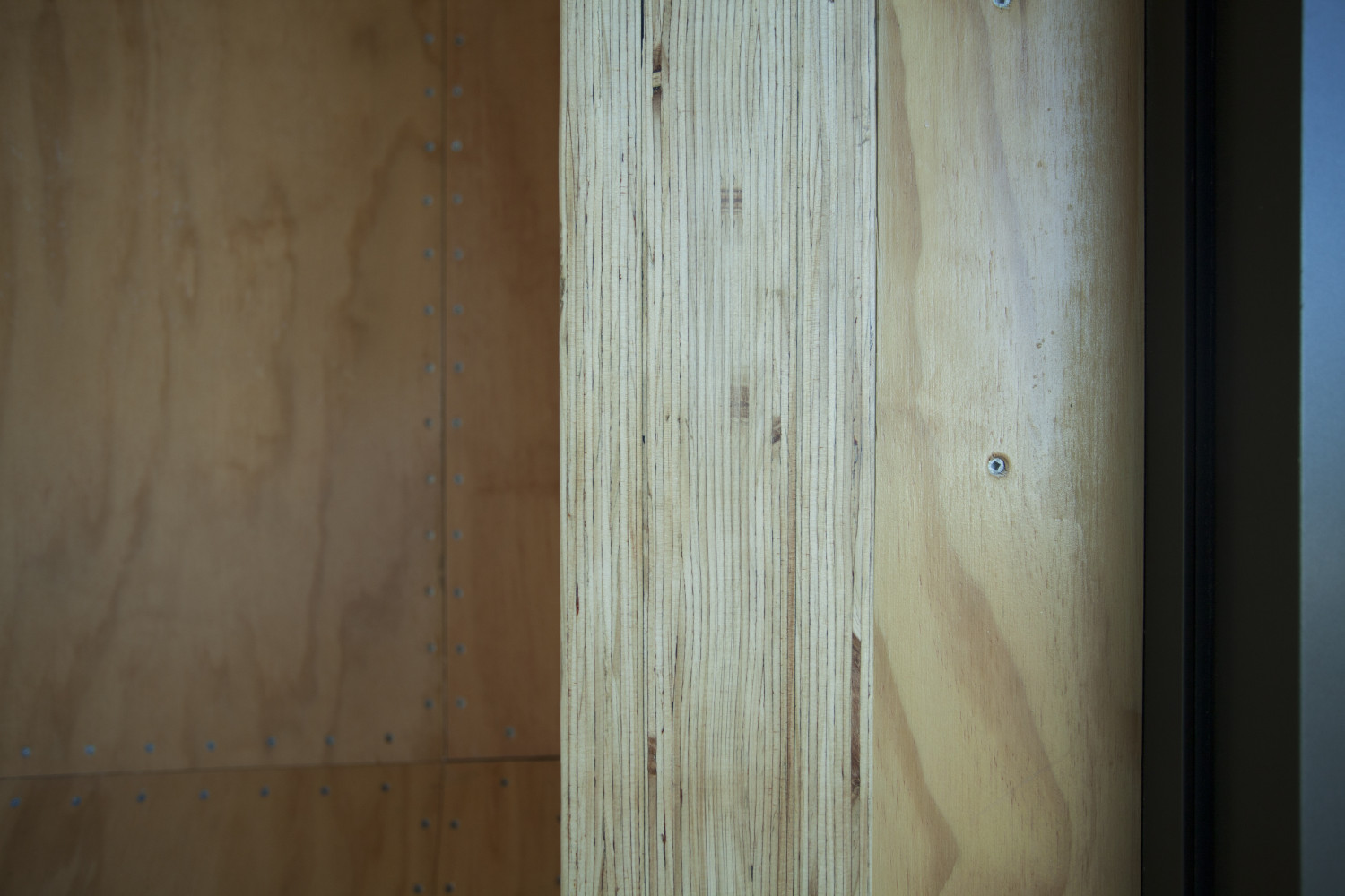 GI Music and Arts Te Oro 9461 v1 rgb