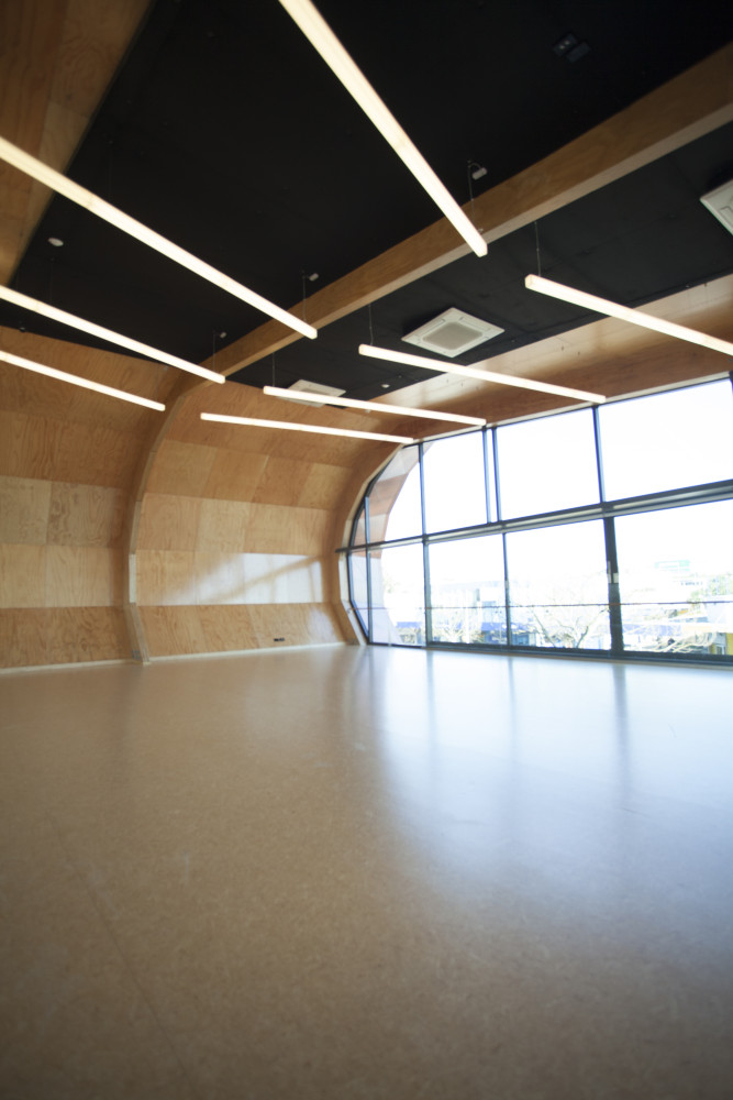 GI Music and Arts Te Oro 9537